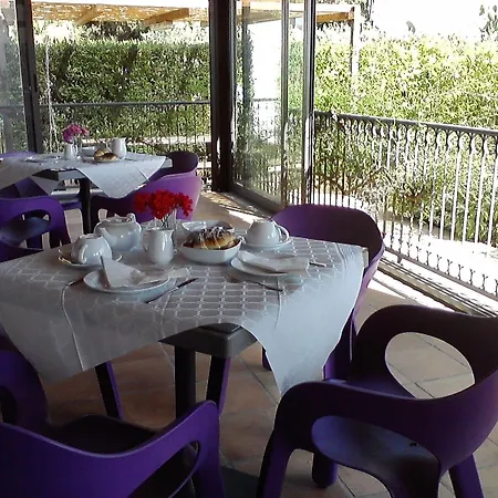 Borgo Pida Paceco